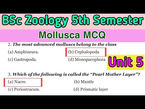 BSc 5th Semester Zoology | Mollusca MCQ | Unit 5