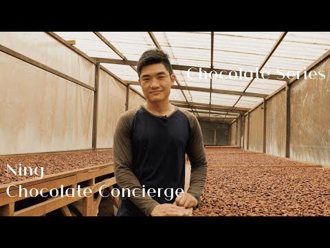 Chocolate Series - Ning, Chocolate Concierge