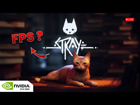 Stray Gameplay | RTX 3060