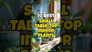 Best small table-top indoor plants for home & office ✅