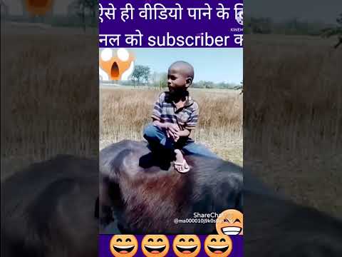 1 subscribe please 🙏 ❤️ 💓 #trending #funny #funnyvideos #funnyvideos #surajrockcomedy #funnyvideos