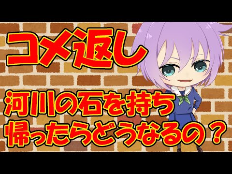 【０から学ぶ刑法】河川の石を持ち帰ったらどうなるの？【コメ返し】