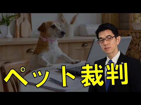 ペット裁判の３類型を弁護士解説【おまけ：動物裁判】