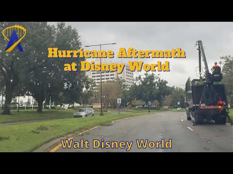 Driving on Disney World Property After Hurricane Milton