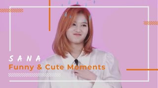 TWICE Sana - Funny & Cute Moments