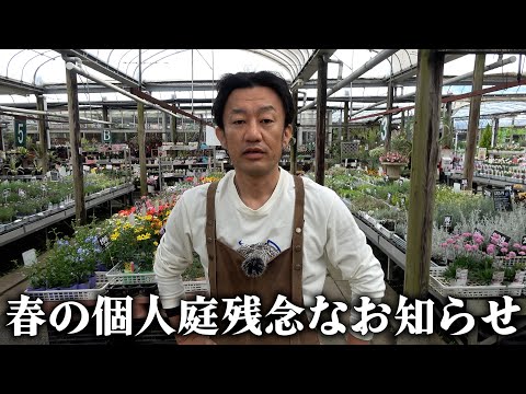 【お知らせ】春の個人庭企画について【カーメン君】【園芸】【ガーデニング】