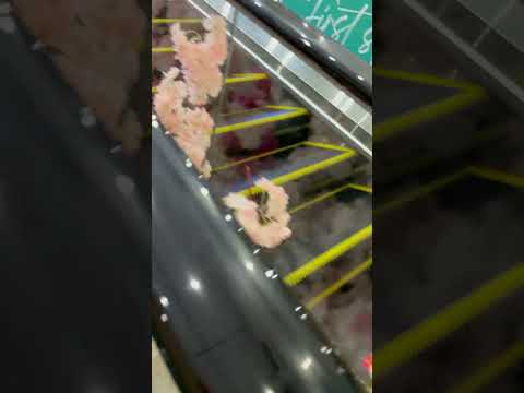 Taking the Escalator to Nitori JAPAN