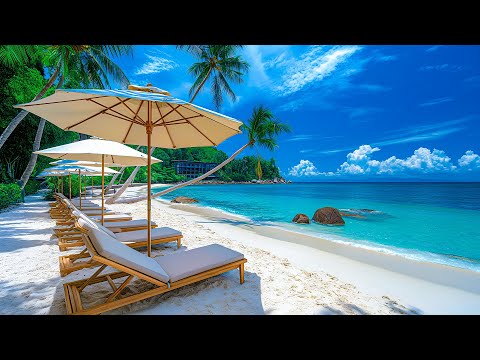 Tropical Beach Ambience & Morning Bossa Nova Jazz - Fun Bossa Nova With Ocean Wave To Lift The Mood