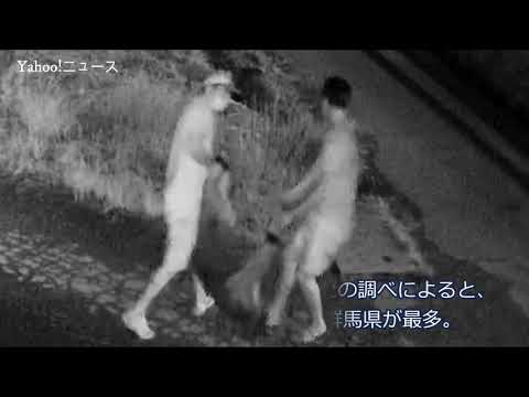 家畜盗難 群馬など4県9市町に広がる、群馬だけで被害総額1千万、写真拡散お願いします！