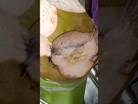 pinakasariwang katas ng buko pH street food #satisfying #buko #streetfood #youtubeshorts #Gatchie Jr