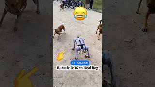 Robotic dog vs Real Dog | IIT Kanpur students madea robotic dog and placed it in front of real dogs