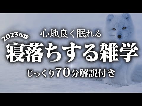 【睡眠導入】寝落ちする雑学【リラックス】とても深い睡眠へ招待します♪