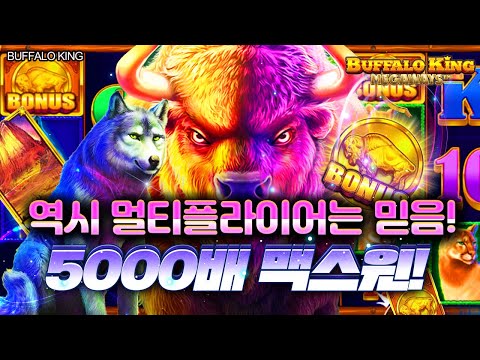 [슬롯] 👩🏻‍🦲 버팔로킹메가웨이즈 👩🏻‍🦲 BUFFALO KING : 5000배 MAXWIN !! [슬롯머신]