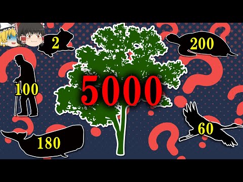 【寿命5000年】なぜ植物は動物に比べ異常に長生きするのか【ゆっくり解説】【雑学】