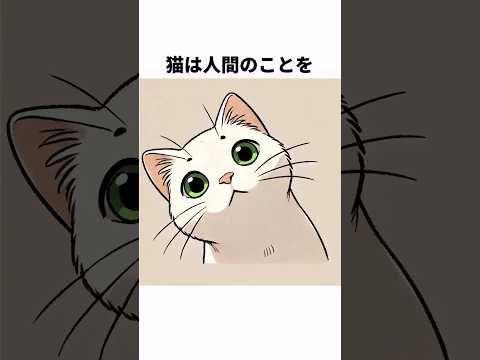 どんどん知りたい猫の心理雑学#shorts  #雑学