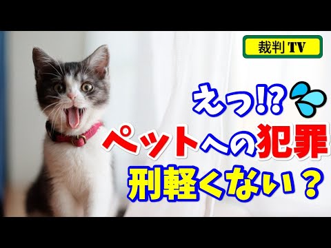 【絶許】ペット犯罪の判決って軽くないっすか!?犯行も、動機も、判決も全てが許せない裁判 #79