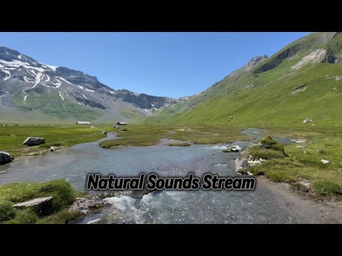 Beautiful Natural Sounds | Part Stream