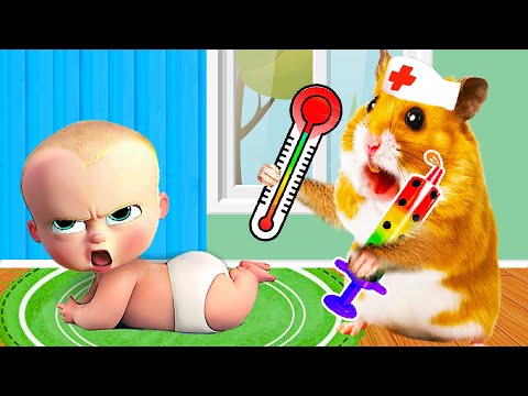 Hamster Escapes The Awesome Doctor Hamster HamHam Check Up In Real Life | Life Of Pets HamHam