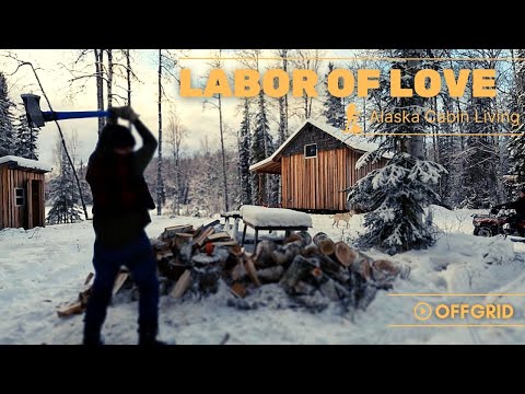 ALASKA CABIN FIREWOOD | A LABOR OF LOVE || FALLING, BUCKING, SPLITTING AND STACKING FIREWOOD