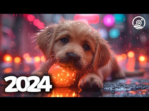 Music Mix 2024 🎧 EDM Mixes of Popular Songs 🎧 EDM Bass Boosted Music Mix #200