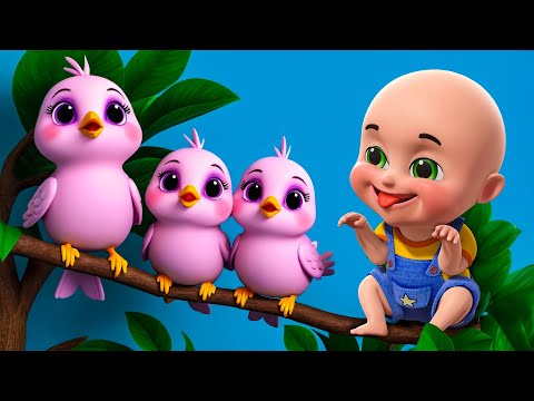 Five Little Birds New Compilation | Animal Farm Song | Nursery Rhymes and Kids Songs | Baby Bobo