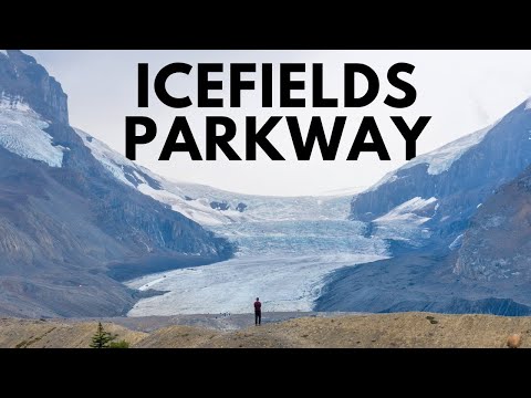 Icefields Parkway: 20+ Stops on one of Canada's Best Road Trips