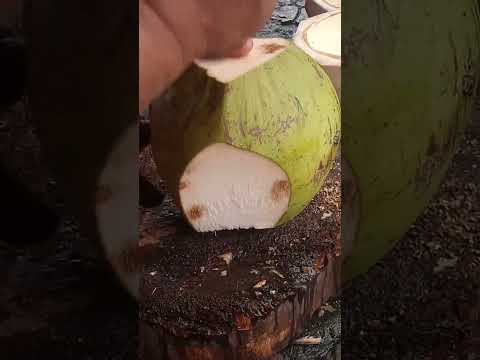 very impressive coconut cutting skills Asmr #satisfying #cuttingskills #youtubeshorts #Gatchie Jr