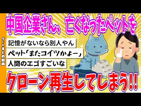 【2chまとめ】中国企業さん、亡くなったペットをクローン再生してしまう…【面白いスレ】