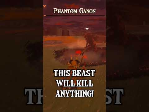 The DUMBEST WAY to kill Phantom Ganon!