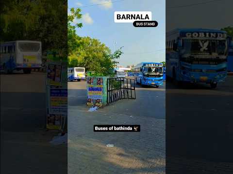 Barnala bus stand 🥀🥀 amazing view 🥀🥀 buses of Bathinda 🥀🥀 #trending #bus #travel #punjab #10k #bob