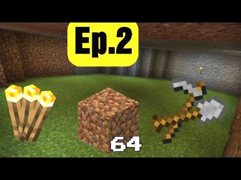 Minecraft survival challenge PT.2