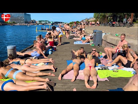 Heat Wave ☀️🇩🇰 Islands Brygge Harbour Bath Beach | Copenhagen Denmark | Bikini Beach 2024 | 4k Walk