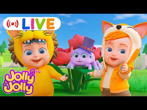 LIVE🔴Itsy bitsy spider, Five little ducks + MORE | Jolly Jolly & Animals - Best Kids Songs!