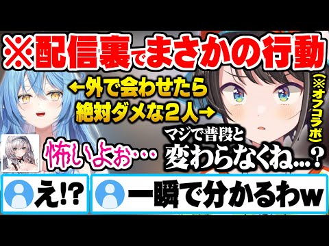 街中を並んで歩いたら確実に即バレするほど裏での行動がいつも通りなラミィとスバルに怯える団長ｗ【ホロライブ 切り抜き 白銀ノエル 大空スバル 雪花ラミィ オフコラボ】