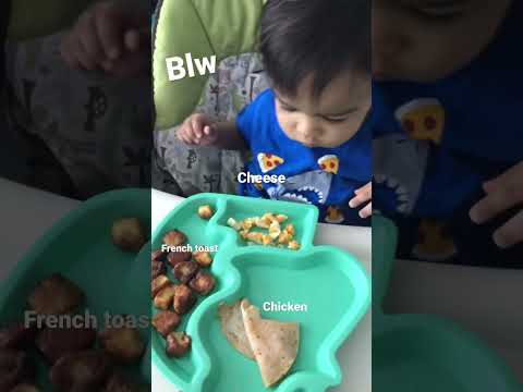 Blw #blw #blwideas #blwrecipes #toddlermeals #toddlermealideas #blwbaby #meal #selffeeding #fypシ゚