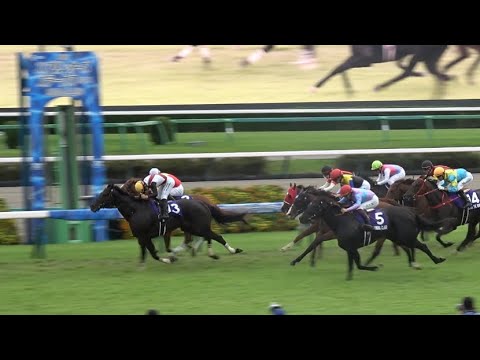 【スプリンターズS2024】ルガル 西村淳也G1初制覇！2着の菅原明良も祝福【現地レース映像】