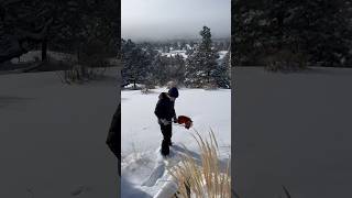 ❄️ Snowy Adventures with Link and Apples: Riding Hobbyhorses in snow⛄️ #hobbyhorse #Snow #snowfun