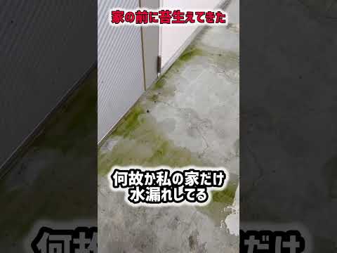 2階の下水から水漏れして玄関に苔生えてきた