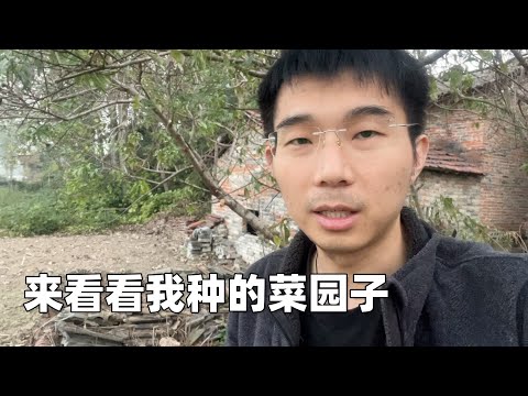 我搞不懂现在的年轻人都怎么了，冷冰冰如丧尸一样的世界