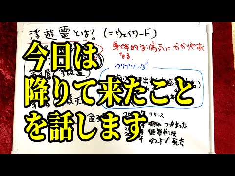 清水由衣の直感的に過ごす休日🥸⚡️🍵(07/09/24)