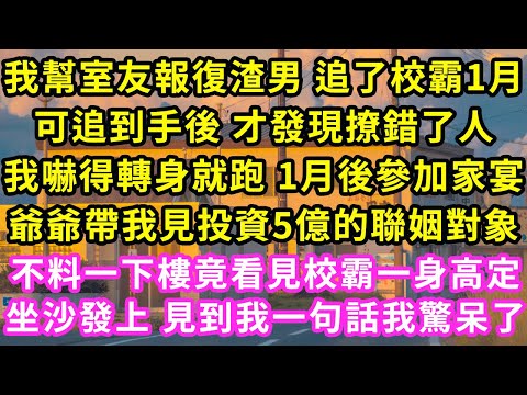 我幫室友報復渣男 追了校霸1月，可追到手後 才發現撩錯了人，我嚇得轉身就跑 1月後參加家宴，爺爺帶我見投資5億的聯姻對象，不料一下樓竟看見校霸一身高定坐沙發上一句話我驚呆了#甜寵#灰姑娘#霸道總裁