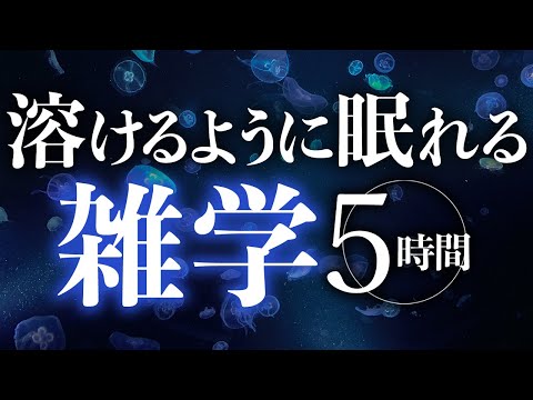 【睡眠導入】しっとり寝落ち雑学5時間【合成音声】