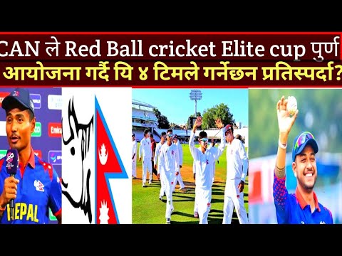 क्यानले रेडबल क्रिकेट टुर्नामेन्ट आयोजना गर्ने यि ४ टिमले खेल्ने#nepalicricket #nepalicricketnews