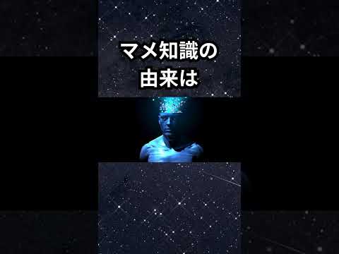 【雑学】豆知識の雑学#雑学