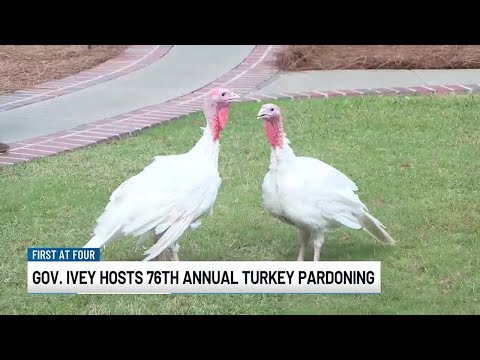 Alabama governor hosts annual turkey pardoning