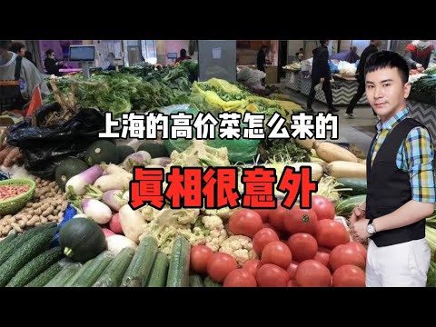 上海的高价菜怎么来的？真相很意外！