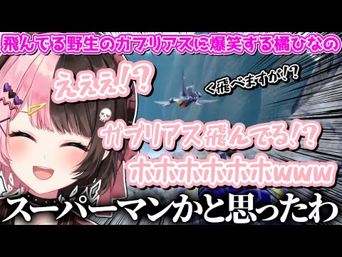 飛んでる野生のガブリアスに爆笑する橘ひなのwww【橘ひなの/ぶいすぽ/切り抜き】