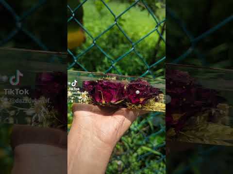 Resin Flower Preservation #srilanka #resin #flowers