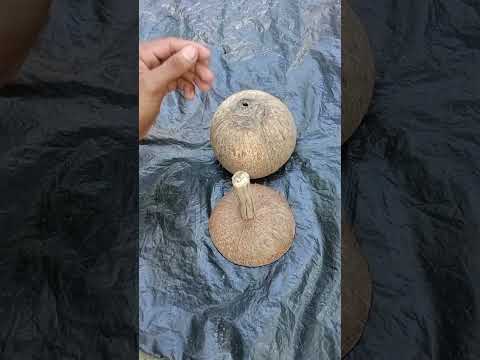 Making a Wine Glass using coconut shell।#shots #dly