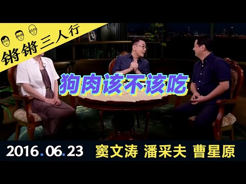 锵锵三人行20160623狗肉该不该吃(窦文涛 潘采夫 曹星原)